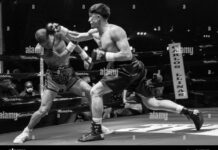 Sam Rizzo (Plymouth, MI) defeated Ronny Arana (NYC) by way of TKO ...