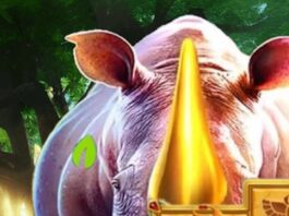 Descarga de APK de Verde casino slots games para Android