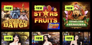 Spin Samurai Online Casino im Test | bis zu 800€ Bonus + 75 FS