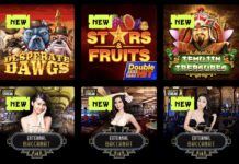 Spin Samurai Online Casino im Test | bis zu 800€ Bonus + 75 FS