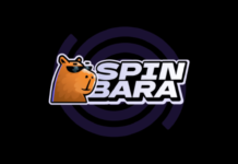 Scarica e gioca ovunque con l’app Spinbara Casino in Italia Spinbara Casino Review | What we discovered! (Updated)