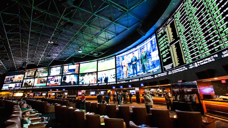 Sports Betting & Casinos: What Is the Best Lottery to Play? (4 Things ...