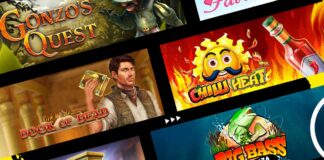 Stelario Casino Echtzeit-Wetten