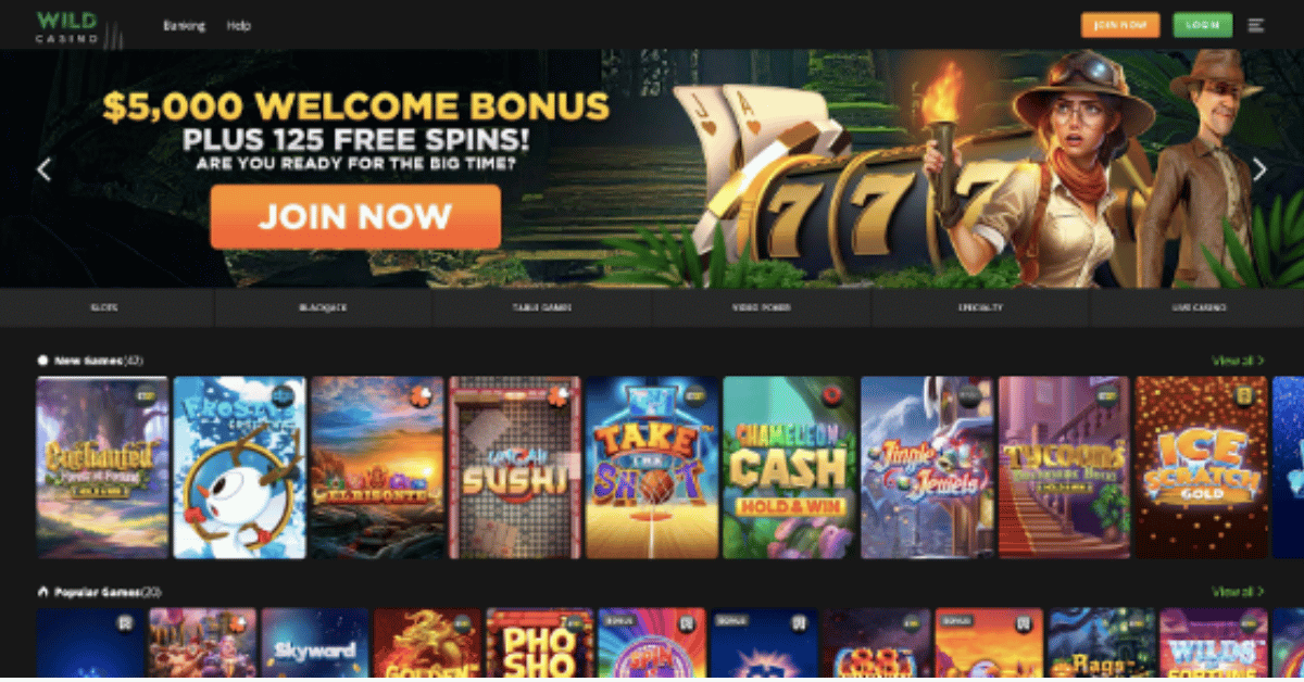 Top Fastest Payout Online Casinos USA 2024