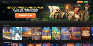 Top Fastest Payout Online Casinos USA 2024