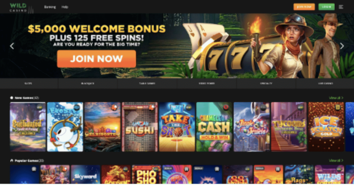 Top Fastest Payout Online Casinos USA 2024