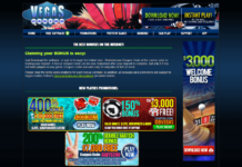 Unprecedented Move: Robocat Casino Unveils Luxury VIP Program in Canada Vegas Casino Online Review | Playing Games in The Virtual Sin City