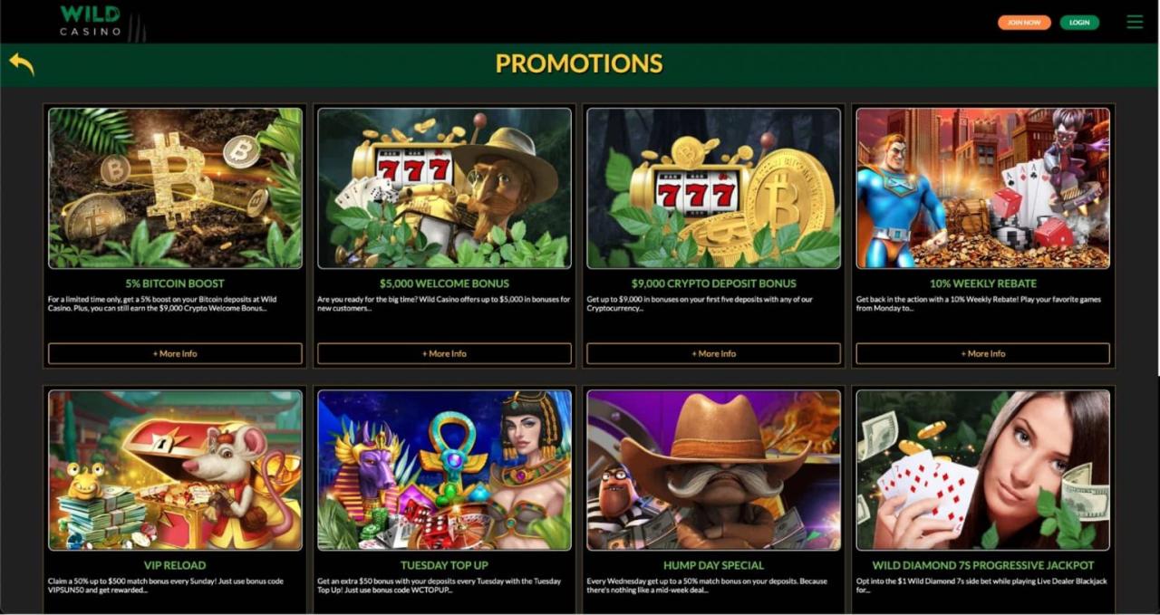 Wild Casino Review 2022 – Get No Deposit Bonus & Free Spins