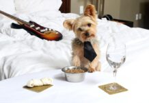 Seminole Hard Rock Hotel and Casino, Hollywood | The Family Hotel Guide