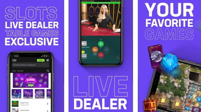 6 Best Payout Online Casinos - Highest Paying Casinos 2022