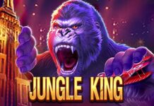 JUNGLE KING | Kings casino, Kings game, Jungle