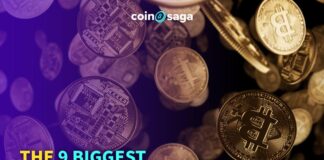 The 9 Biggest Bitcoin Casino Wins of All Time - Coinsaga Bitcoin Blog