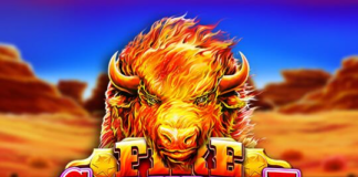 Spinit Casino New Zealand Official Website to Play Slots at Mobile Device