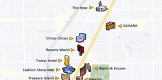 What's New Las Vegas 2024 - Tanya Danette