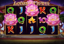 Weshalb deutsche Spieler jeden Tag Twin Casino bevorzugen Lotus Flower Slot Free Demo Play or for Real Money - Correct Casinos