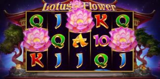 Lotus Flower Slot Free Demo Play or for Real Money - Correct Casinos