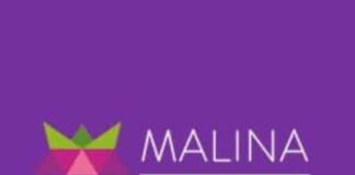 Malina Casino Review: Is it the Perfect Place to Play?