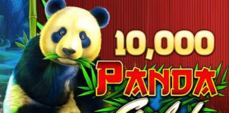 Panda Gold Scratchcard, jouez pour gagner jusqu’à 10 000€
