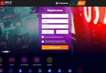 Wild Tokyo Casino Review 2023 | Bonukset, ilmaiskierrokset ja pelit