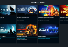 Hopa Casino – Step Into the Winning Zone in Canada Wolf Winner Casino Review - Safe or Scam?
