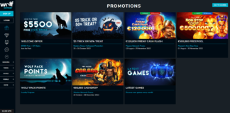 Wolf Winner Casino Review - Safe or Scam?