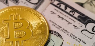 A Guide On - How Online Crypto Casinos Work? | Bit Rebels