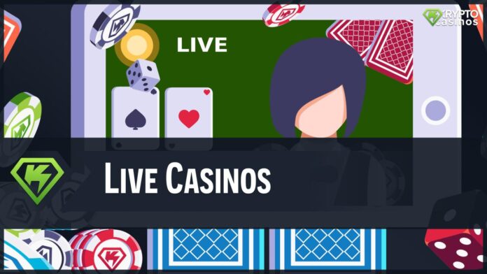 Live Casinos 2025 - Which are the best for you?
