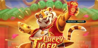 Demo Slots Nederland – Gratis Online Gokkasten Spelen | demoslots.nl