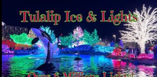 Ice & Lights Tulalip Resort Casino Holiday Show Marysville Washington ...