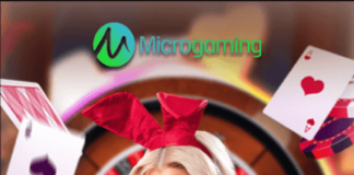 Sukses303 Situs Daftar Live Casino Online : Sicbo, Roulette & Baccarat ...