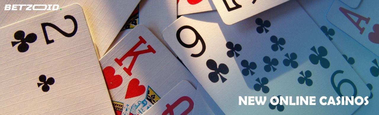 New Online Casinos 2024 | Top Newly Launched Casino Sites betzoid.com