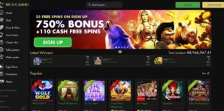 Rich Casino - online games and slot machines, deposit methods and bonuses