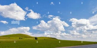 Road in the field, long distance trail in the field. Beautiful green ...
