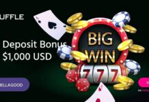 Min detaljerade analys på Shuffle Casinos programvaras prestanda i Sverige BangCoins Promo Code 2026: Claim The Latest Offer