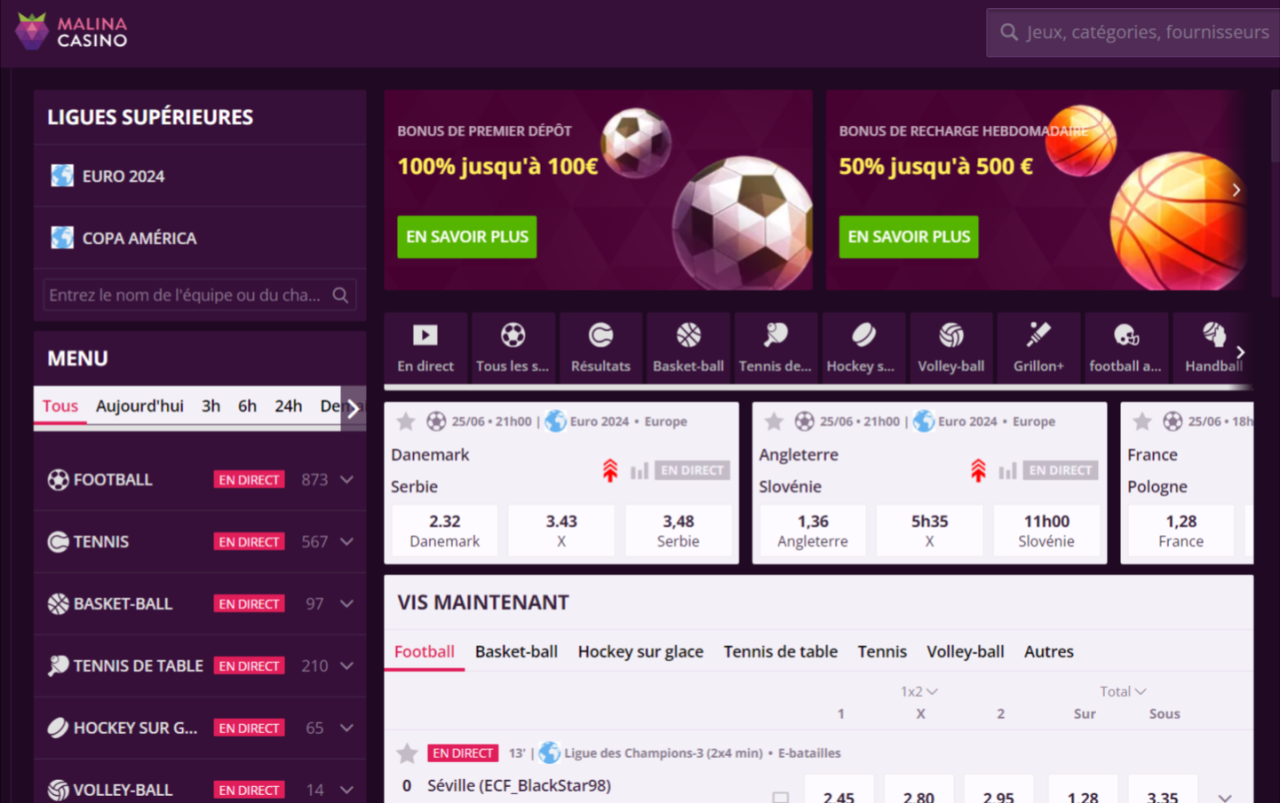 Malina Casino Avis | +100% jusqu'à 500€ + 200 FS