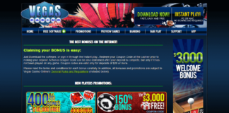 Vegas Casino Online Review | Playing Games in The Virtual Sin City