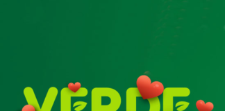 Mr Bet Casino ⚡️: Offizielle Website [Bonus €1500]