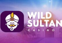 Wild Sultan Casino : Une Offre de Jeux Unique et Innovante