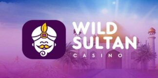 Wild Sultan Casino : Une Offre de Jeux Unique et Innovante