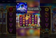 Top Casino en Ligne: Classement des Meilleurs Sites 2026